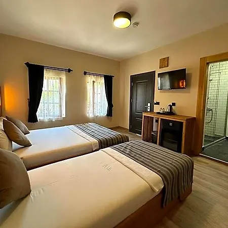 Hotel Konagi *